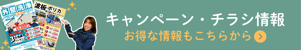 キャンペーン・チラシ情報