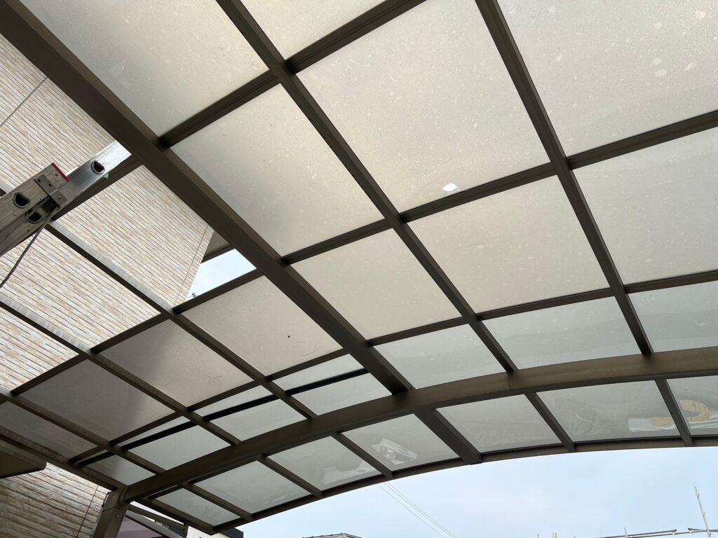 全体が変色している